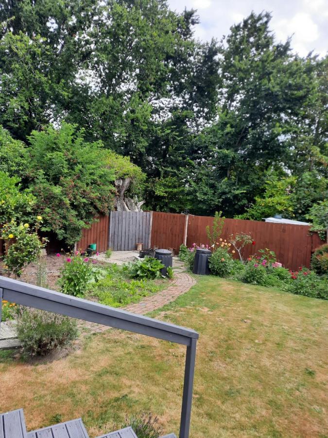 Stump Cottage Christchurch Esterno foto